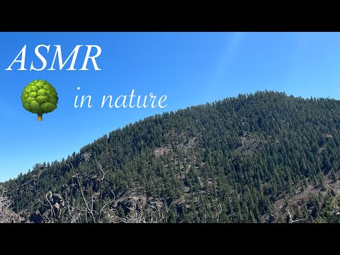 Relaxing ASMR in Nature🍃🌻🌾