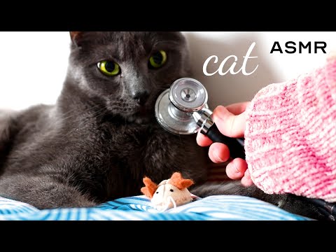 Cat HEARTBEAT, Purring, Breathing ASMR