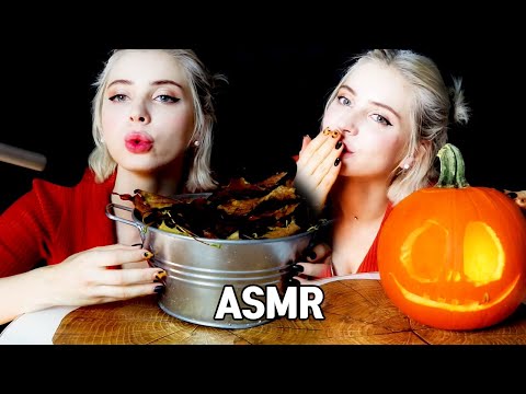 ASMR | fall sound 🍁pumpkin touch Cozy Soft lips sound
