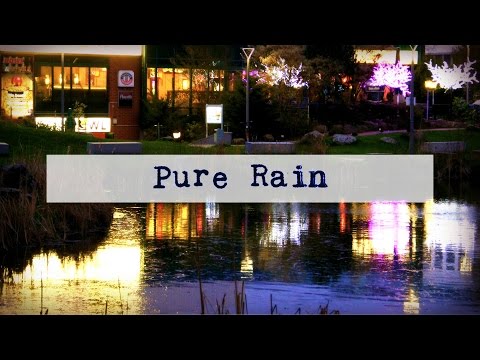 ASMR Pure Rain