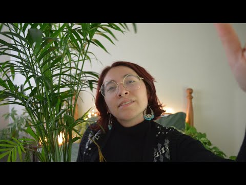 ASMR Plant Shop Consultation🌿 (lots of chatting, tapping & crinkly plant sounds)