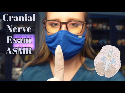 ASMR Cranial Nerve Exam - Loggerhead ASMR