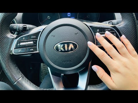 ASMR! CAR Tapping And Scratching! + some cute doggies ❤️