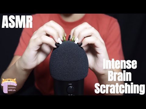 ASMR Intense Brain Scratching The Mic Tingles
