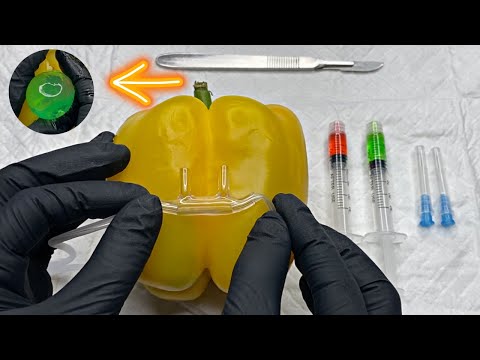 [ASMR] Surgery On A Bell Pepper | Removing Jelly Growths From Inside