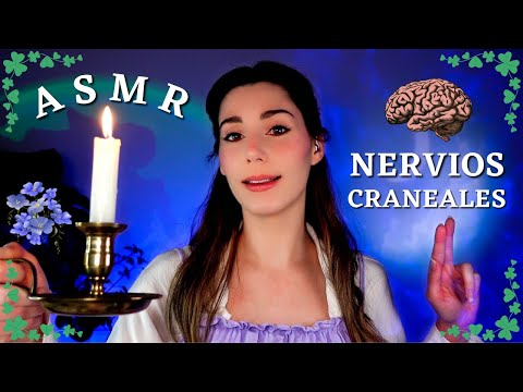 ASMR EXAMEN NERVIOS CRANEALES Medieval 🕯🌲Roleplay en ESPAÑOL💤Atención Personal