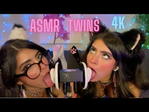 4K ASMR The PERFECT Kitty TWINS | purrfect purs, kisses, licks, PAWS