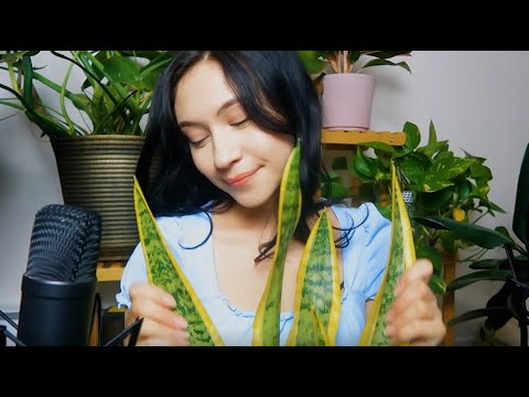 ASMR | Plant Sounds For Relaxation~