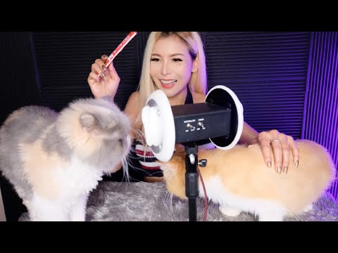 ASMR THAI🇹🇭 Cats Sounds 😻 | Ear Licking, 3Dio Mic |👂 ( Subtitle ✔️)