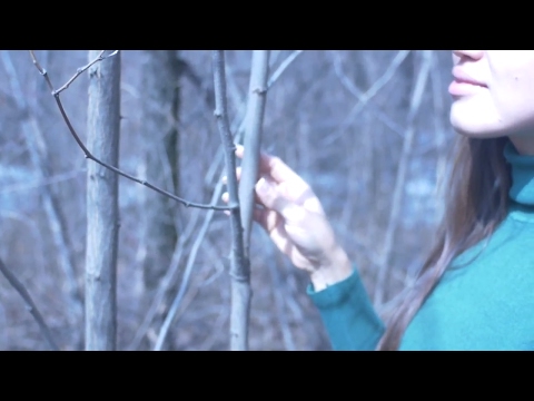 ASMR Walking in the Woods, Leaves and Branches, Experimental🌲🌳🌿🍃🍂