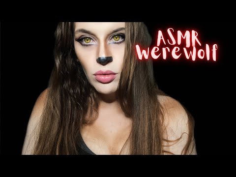 [  ASMR ] Werewolf Saves Your Life #tingles