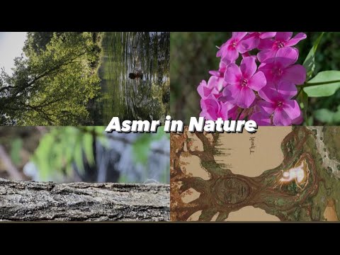My first ASMR video (in Nature, mouth sounds, water sounds, birdsong)