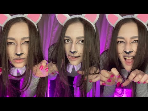 Asmr Kitty For People who ACTUALLY don’t Get Tingle