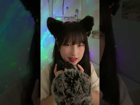 ASMR🔴4HR of Sleep Triggers | Tiktok Live_230504