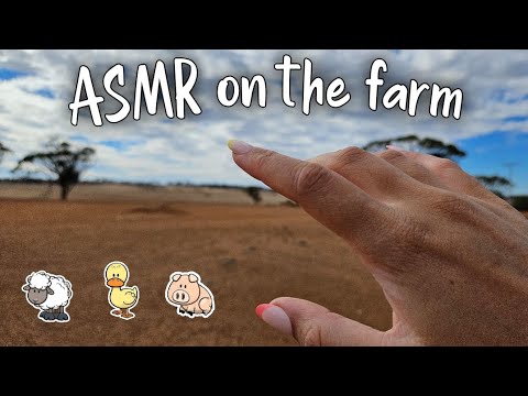 ASMR on the farm - Lots of tapping and scratching sounds