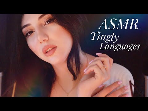 ASMR Ooh So Tingly ✨ Counting to Sleep - Language Lesson ✨ English / Français / Español / Armenian