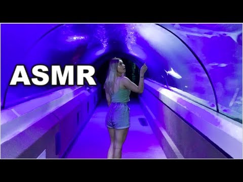 ASMR Under The Sea