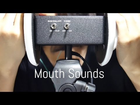 マウスサウンド(息多め) -Mouth Sounds-【音フェチ*ASMR】