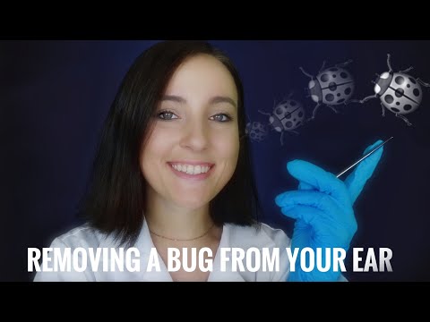 Removing a bug from your ear ASMR