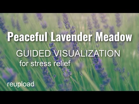 PEACEFUL LAVENDER MEADOW Guided Visualization for Stress Relief (reupload) *old video from 2014*