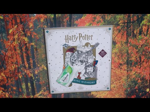 PAGE TURNING ASMR HARRY POTTER COLORING BOOK