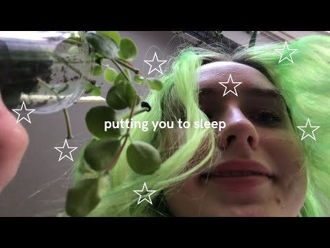 lofi asmr! [subtitled] putting you to sleep!