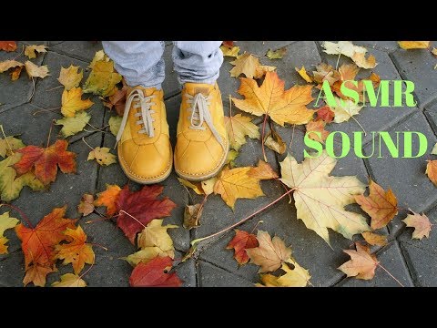ASMR Walking On Leaves Sound | Very Crunchy Sounds To Get Tingles
