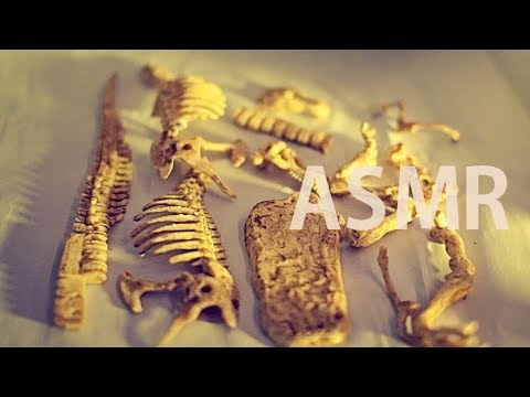 ASMR T-Rex Excavation ⛏️Ep #4 "Last Pieces & Assembling" - NO TALKING