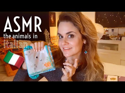 Learn Italian in ASMR 🇮🇹 Soft Spoken, Tingly / The Animals, Lesson 2 🦁
