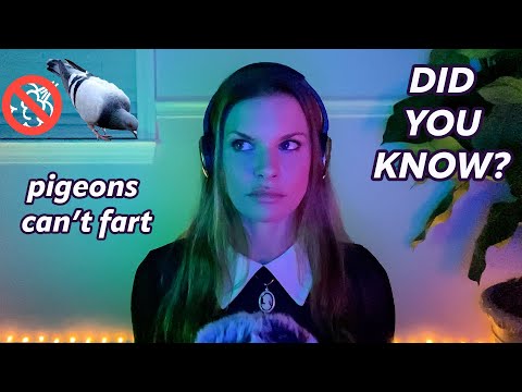 ASMR Facts on Facts on Facts 🧠