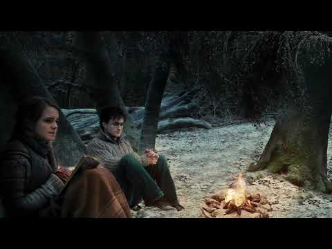 Forest of Dean ◈ Camping with Harry & Hermione [Musicless] Harry Potter inspired Ambience + Dialogue