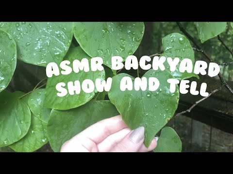asmr backyard show & tell 🌱🌞💚 (bird chirps, water sounds, leaf tapping )