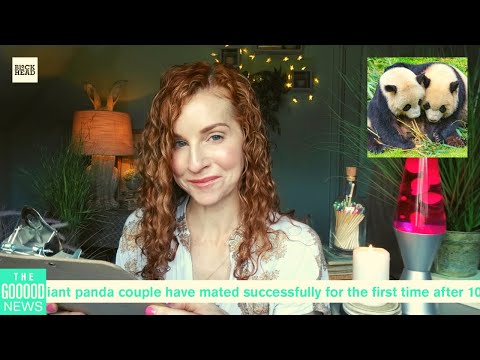 ASMR | The Gooood News