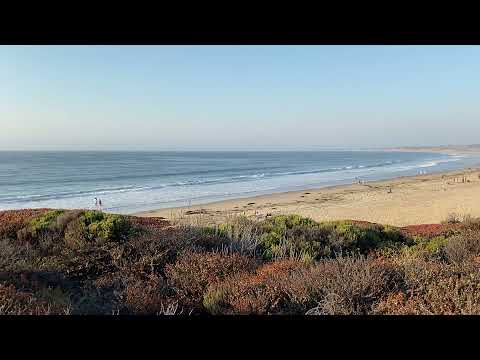ASMR OCEAN SOUNDS | BEACH DAY | SOUNDSCAPE | CALIFORNIA BEACHES | 1 MIN. OF RELAXTION