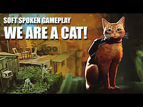Soft Spoken Gameplay | STRAY 🐈 The Cat Game #01 The Futuristic World of Ancient Mysteries