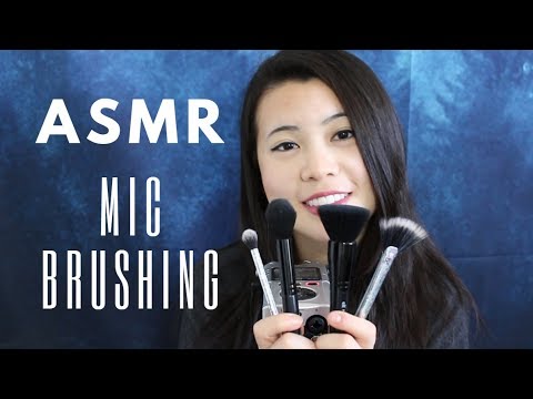 [ASMR]  🖌️ Art of Brushing  🖌️ | Brushing Your Ears Clean