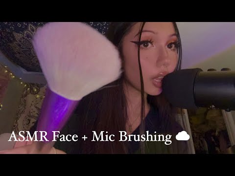ASMR Face & Microphone Brushing