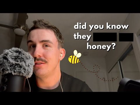 asmr bee facts 🐝