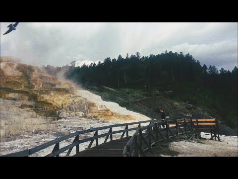 ASMR A Dreary Day At Yellowstone (Chatty Voice Over Vlog) (Rain)