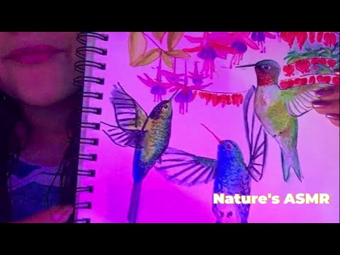 ASMR SHOWING YOU MY SKETCHBOOK WHISPERED