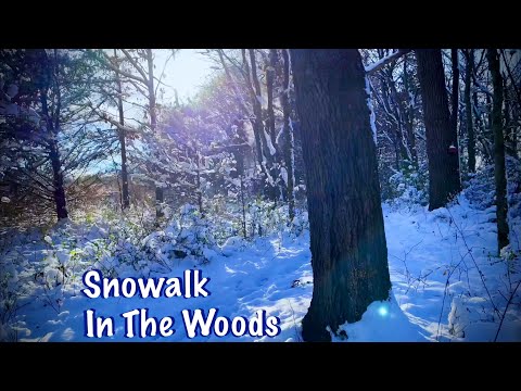 ASMR Snow Walk in the Woods (No talking) Crunchy footsteps/Nature sounds/bird calls/running creek