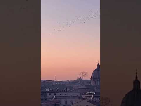 ASMR Sunset in Rome with Bird murmuration 🌅