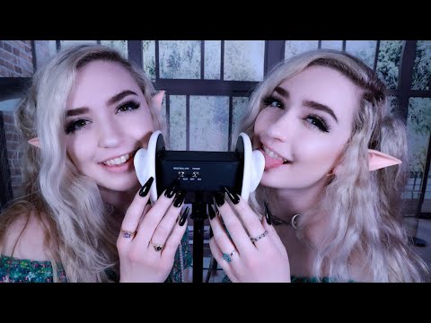 twin fairies take CARE of YOU | ear eating, nibbles, licking & tongue flutters*:･ﾟ✧ASMR