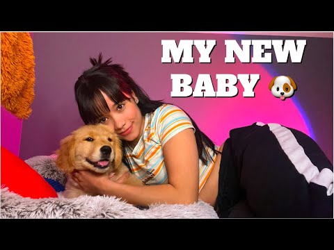 Meet My New Baby SIO !! 🐶🥰 (Part 1)