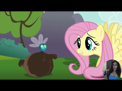 My Little Pony: Friendship Is Magic episode full season Swarm of the Century cartoon series (review)