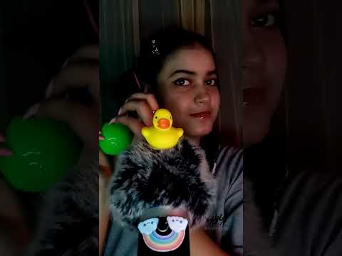 ASMR How Many Time Do You See the Duck?