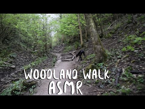 Woodland Walk ASMR