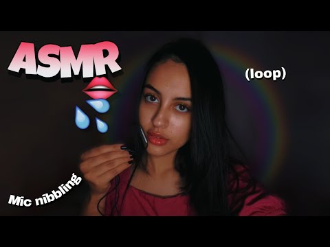 asmr extreme mic nibbling | wet mouth sonds(layered loop)