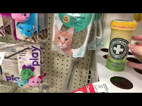 ASMR In Petsmart! (Background noise)