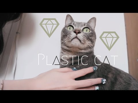 ASMR♥私の猫はプラスチックです